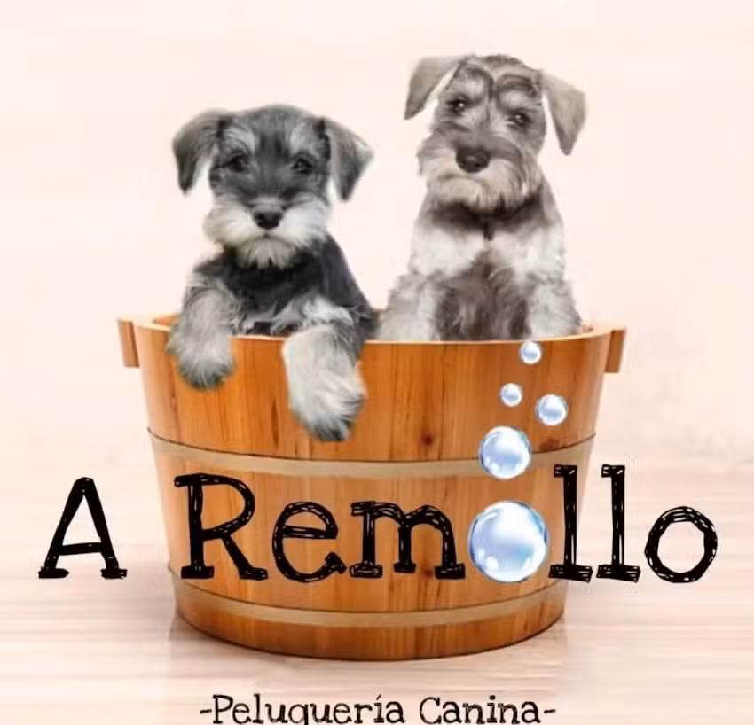 A remollo peluqueria canina