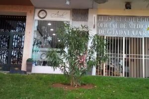 Acedo Peluqueros