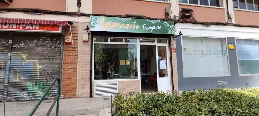 Agguanile Peluquer&iacute;a