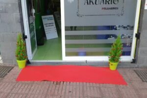 akuario pelukeros