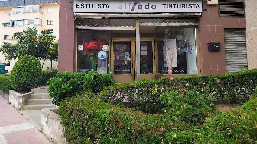 Alfredo Estilistas