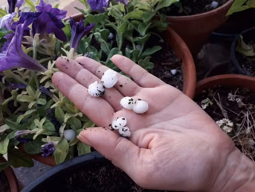 Altabas Peluquería