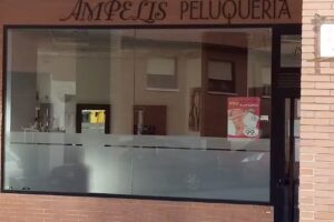 Ampelis
