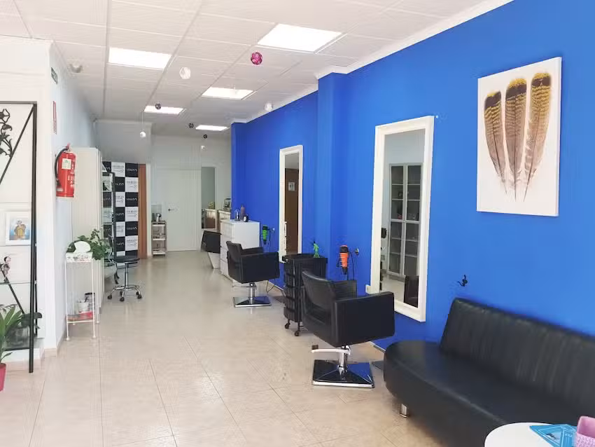 Ana Bel&eacute;n Cerezuela Peluqueria