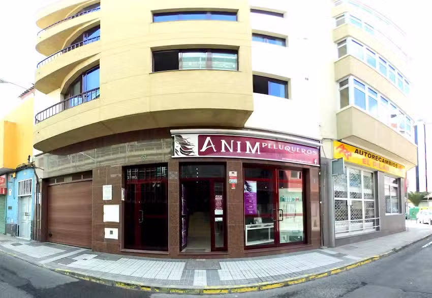 Anim Peluqueros