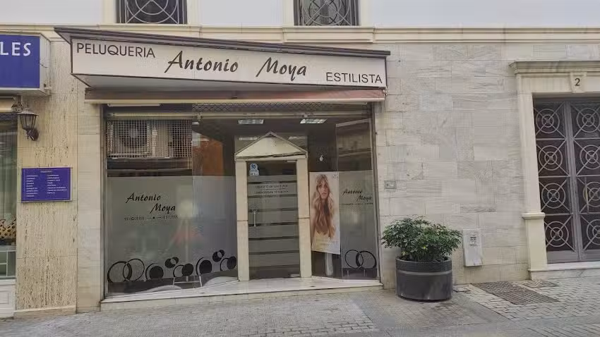 Antonio Moya Estilista