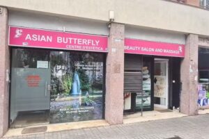 Asian Butterfly