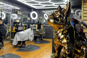 Barber PICO19 [SABADELL]