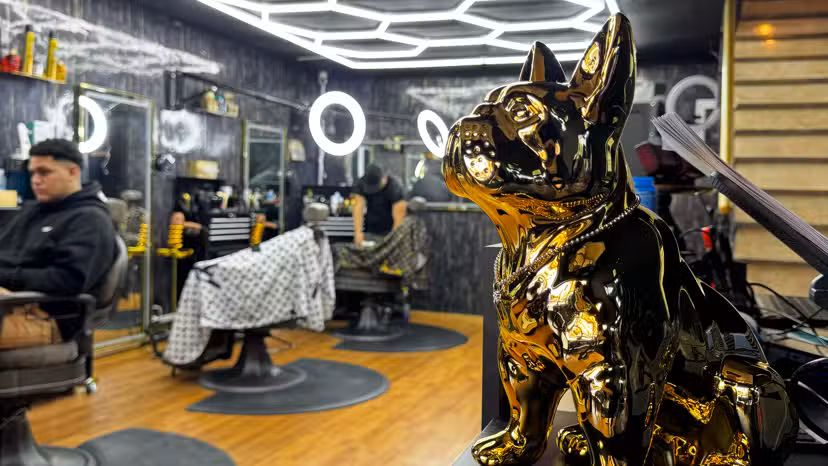 Barber PICO19 [SABADELL]