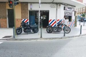 Barberia grau