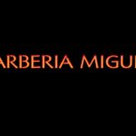Barberia Miguel