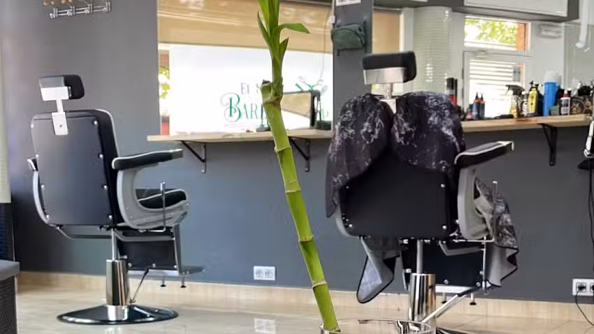 Barberia, Peluqueria El Sitio
