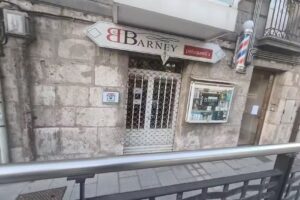 Barney Peluqueros