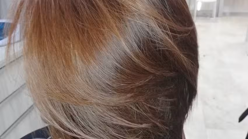 Berna Peluqueros
