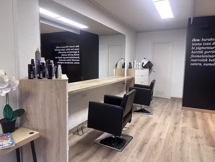Bixok ileapaindegia