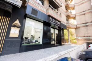 BLESSON PROFESSIONAL CONGRESOS