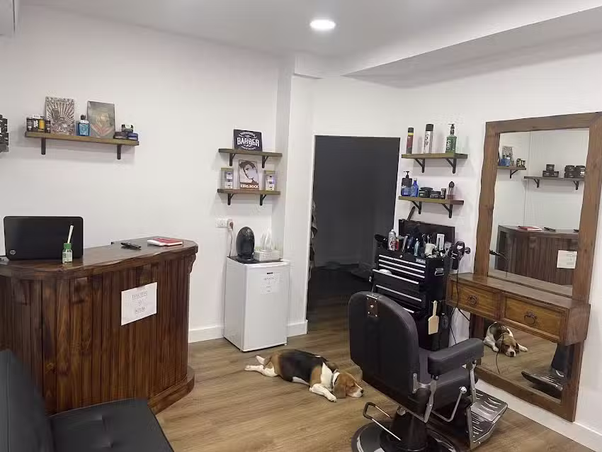 Bornes Barber