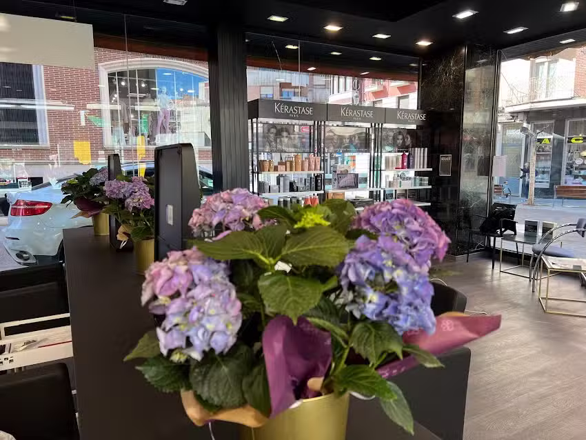 Botanies Aranda | Peluqueria y venta de productos de peluqueria | Aranda de Duero