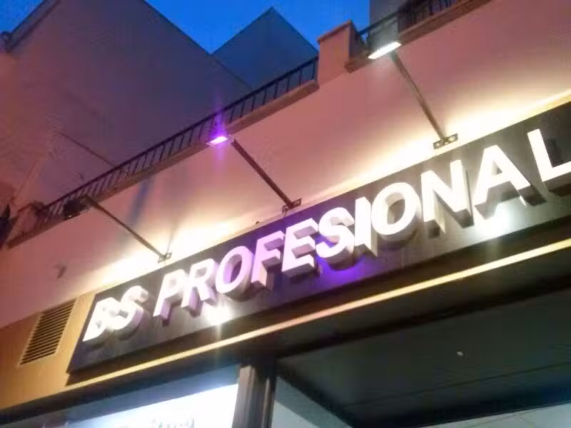 BS Profesional