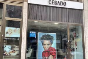 Cebado