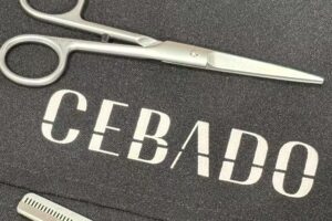 CEBADO salón Bori i Fontestà