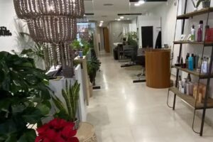 Cinc Sentits Estilistes