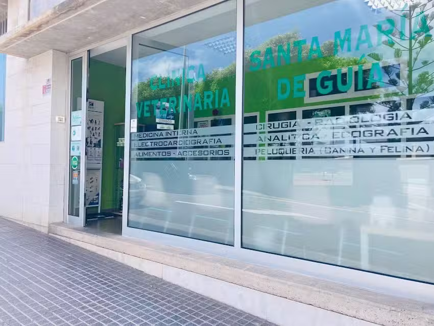 Cl&iacute;nica Veterinaria Santa Mar&iacute;a De Gu&iacute;a
