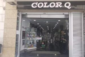 COLOR Q VILANOVA