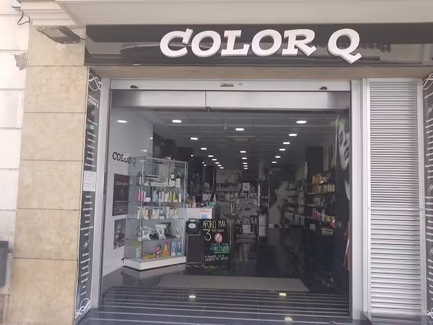 COLOR Q VILANOVA