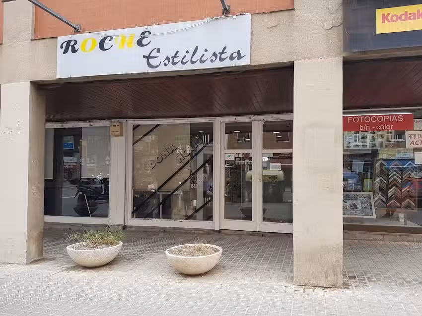 Concepción Roche González