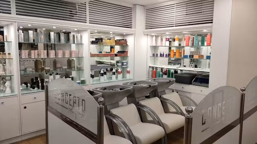 Concepto Peluqueros