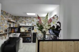 Conchita Hair Professional