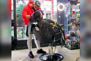 Damian.Barber.Studio