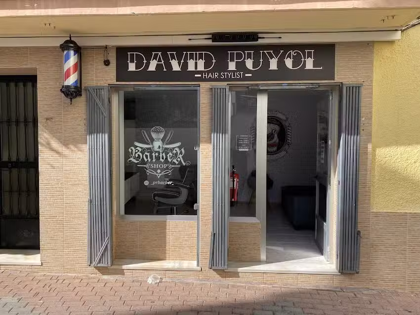 David Puyol Hair Stylist