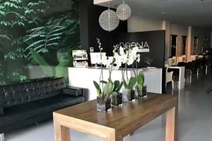Deena Salón orgánico & Spa Aveda