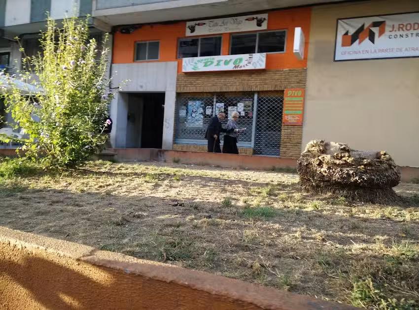 Divo Masculino
