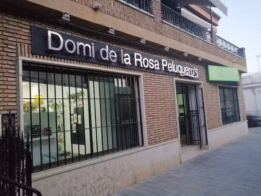 Domi de la rosa