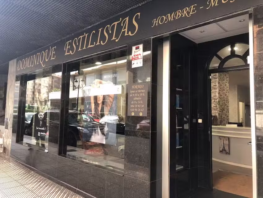 Dominique estilistas