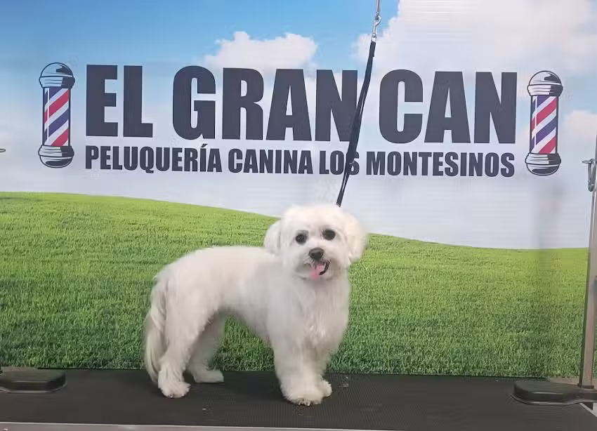 El Gran Can