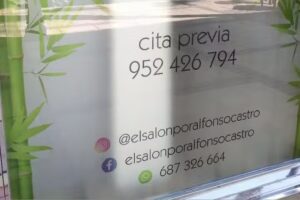 El salón. Alfonso Castro.