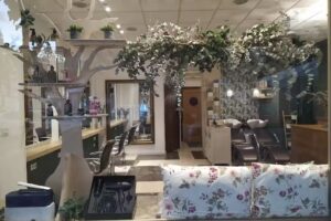 EL SALÓN DE ANITTA