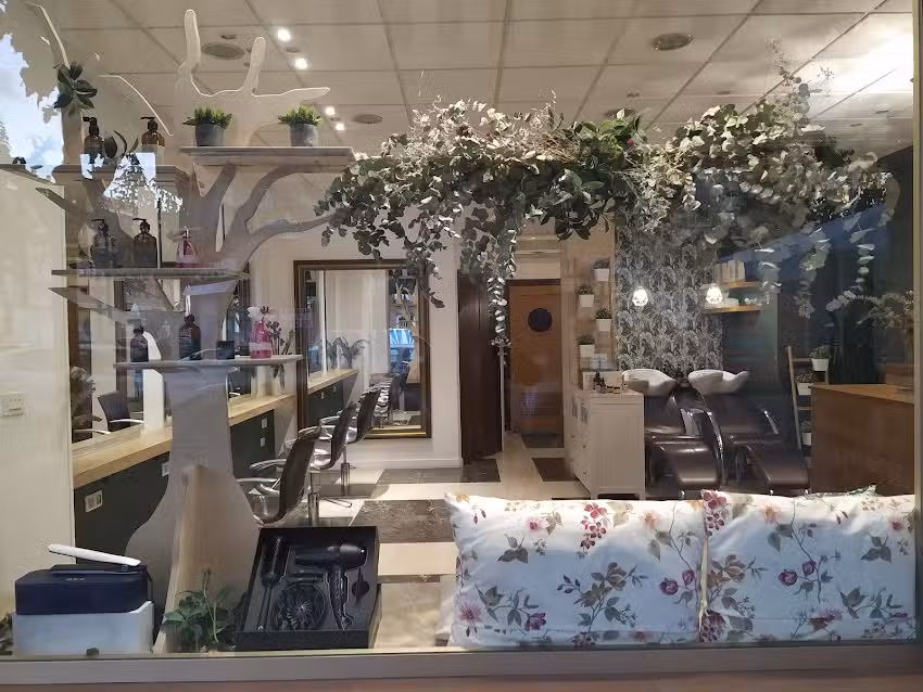 EL SALÓN DE ANITTA