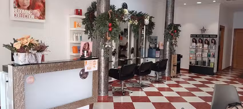 Estibel Estilistas CB (Sal&oacute;n de Peluquer&iacute;a Isa y Mar&iacute;)
