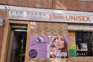 Estilista Diana