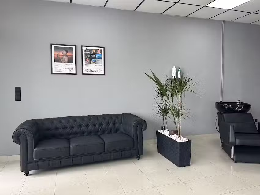 IBSTUDIO