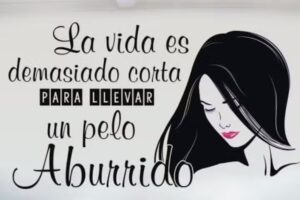 IEI Estilistas