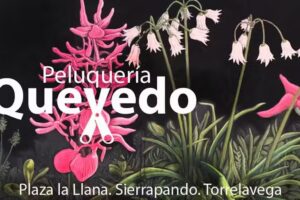 J. Quevedo Peluquería