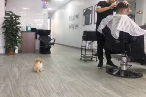 La barbería de Isidro Vela