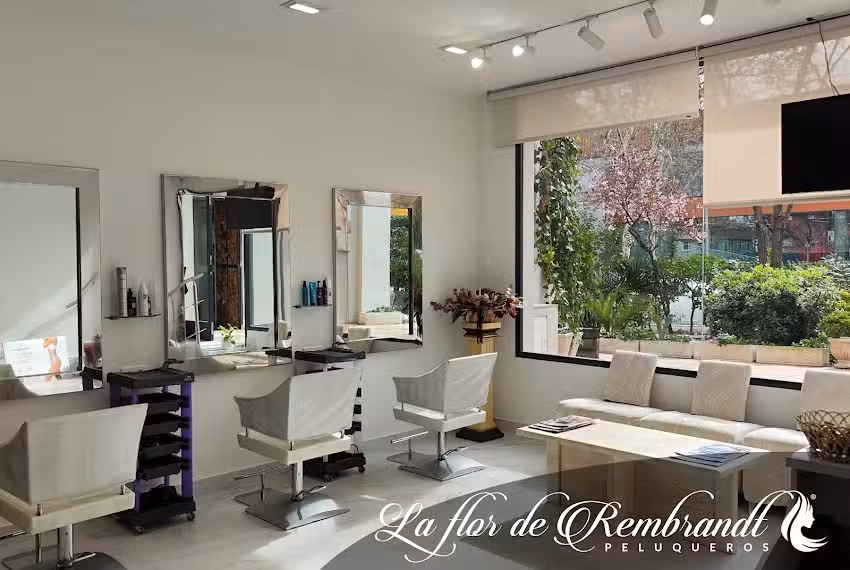 La Flor de Rembrandt Peluqueros | Arturo Soria