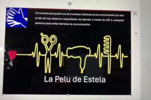 La Pelu de Estela